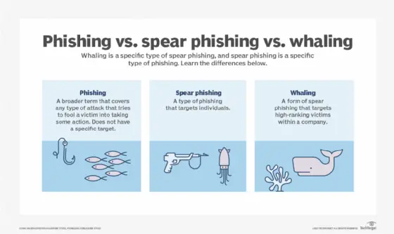 Understanding Whaling Attacks in Cyber Security